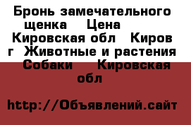 Бронь замечательного щенка  › Цена ­ 500 - Кировская обл., Киров г. Животные и растения » Собаки   . Кировская обл.